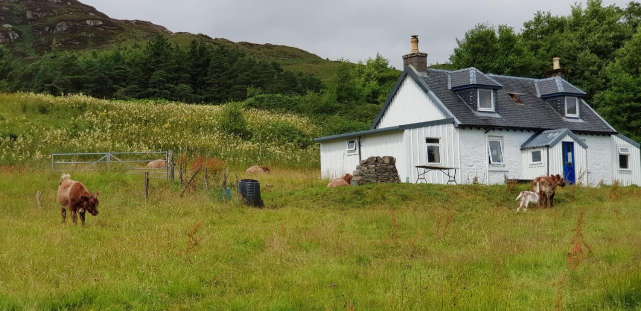 Вілла Isle Of Carna, Secluded Scottish Island, Loch Sunart Acharacle Екстер'єр фото